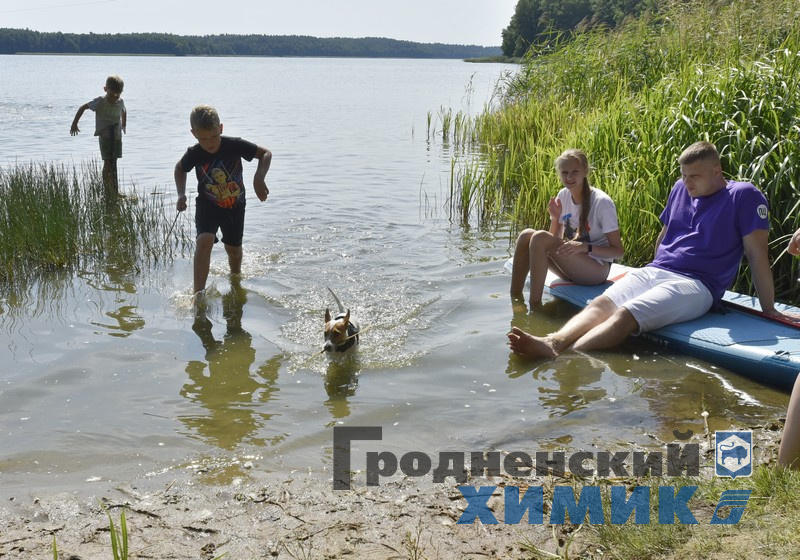 567676867867345 (5).jpg